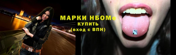 ешки Новодвинск