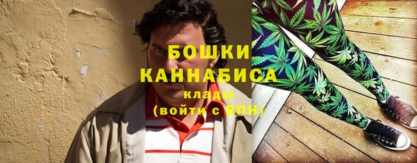 ешки Новодвинск