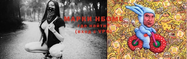 ешки Новодвинск