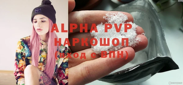 ешки Новодвинск